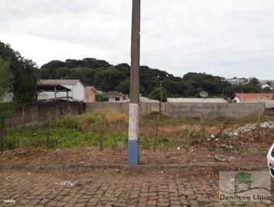 Terreno para Venda, em Campos Novos, bairro Sao Sebastião
